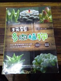 玩转多肉植物（封面，个别内页有折痕，干净）铜版彩印