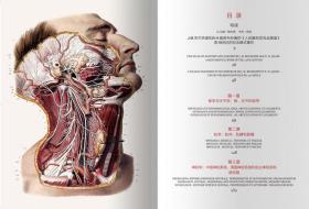 人体解剖图谱  （中文版 Altas of Human Anatomy）