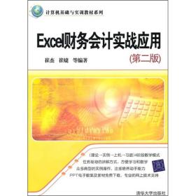Excel财务会计实战应用（第二版）