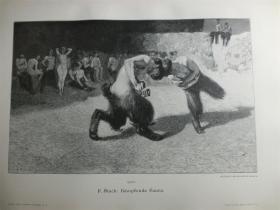 【现货 包邮】1890年木刻版画《战斗》（Kämpfende Faune） 尺寸约41*28厘米（货号 M6）