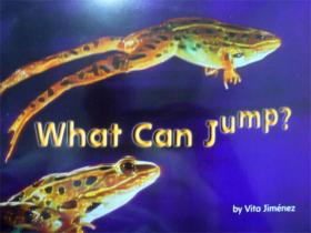英文原版    少儿早教绘本      What Can Jump?    什么能跳