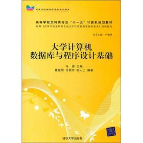 大学计算机数据库与程序设计基础