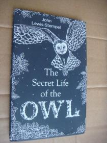 The Secret Life of the OWL 《猫头鹰的秘密》科普英文原版大32开 精装+书衣  插图栖