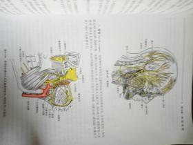 系统解剖学（第7版）/全国高等学校教材
