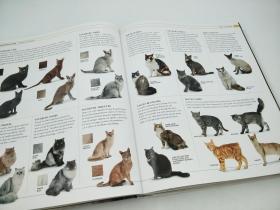 Le grand Larousse du chat : Choisir, éduquer, comprendre et soigner son chat. 130 races du monde entier 法文