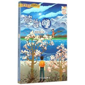 《少年文化》金牌名家书系·短篇小说：彼岸瞳9787532496785