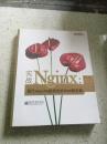 实战nginx:取代apache的高性能web服务器
