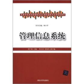 高等学校财经管理类专业计算机基础与应用规划教材：管理信息系统