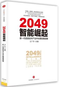 2049：智能崛起——新一代信息技术产业中长期发展战略