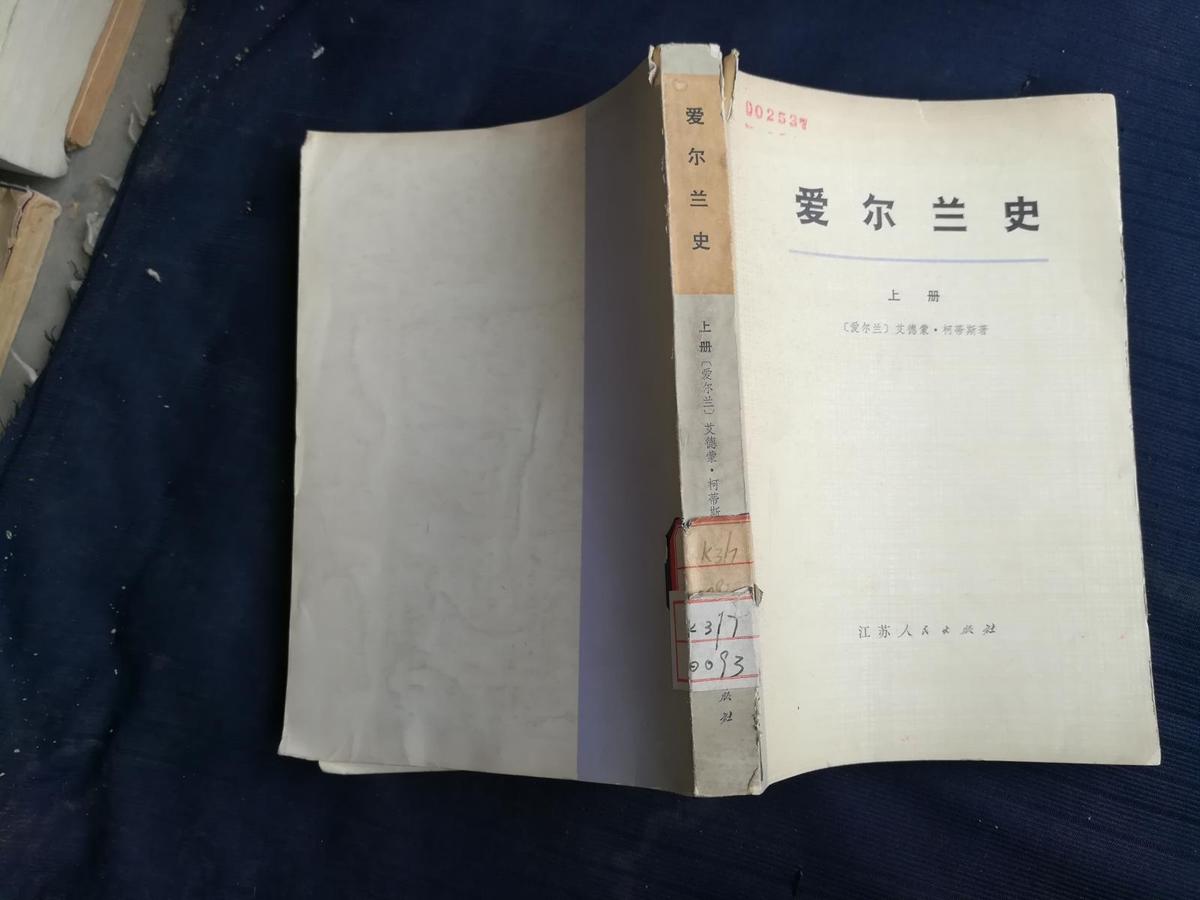 爱尔兰史·上册