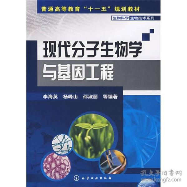 特价现货！现代分子生物学与基因工程李海英 杨峰山 邵淑丽9787122017949化学工业出版社