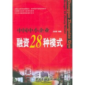 中国中小企业融资28种模式