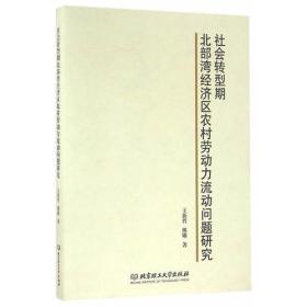 社会转型期北部湾经济区农村劳动力流动问题研究