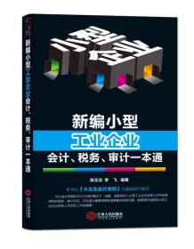 新编小型工业企业会计、税务、审计一本通