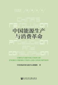 中国能源生产与消费革命