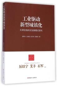 工业驱动新型城镇化(天津滨海新区发展模式研究)/中国新型城镇化理论与实践丛书、