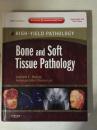 Bone and Soft Tissue Pathology: A Volume in the High Yield Pathology Series 骨骼与软组织病理学