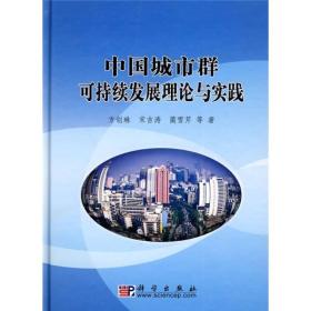 中国城市群可持续发展理论与实践   精装