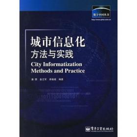 【以此标题为准】数字中国丛书:城市信息化方法与实践