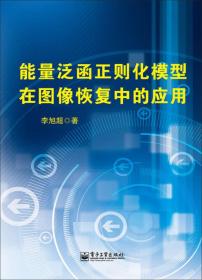 【正版】能量泛函正则化模型在图像恢复中的应用