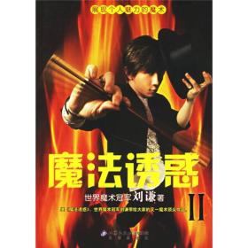 魔法诱惑II