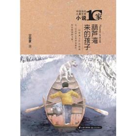 中国当代儿童文学小说十家 葫芦湾来的孩子