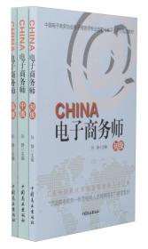 电子商务师（套装共3册）/中国电子商务协会电子商务师专业技能（水平）评价指定教材