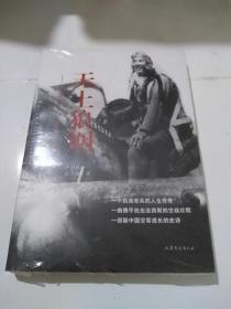 天上狼烟 一位抗战老兵、王牌飞行员的生死传奇