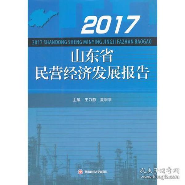 2017山东省民营经济发展报告