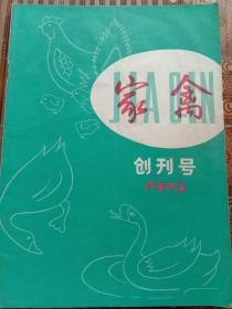 家禽创刊号