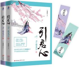 引君心2：爱无言（套装上下册）大结局篇