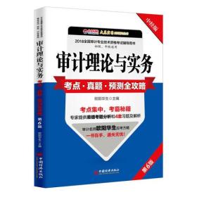 审计理论与实务考点 真题 预测全攻略