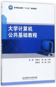 大学计算机公共基础教程/高等职业教育“十三五”规划教材