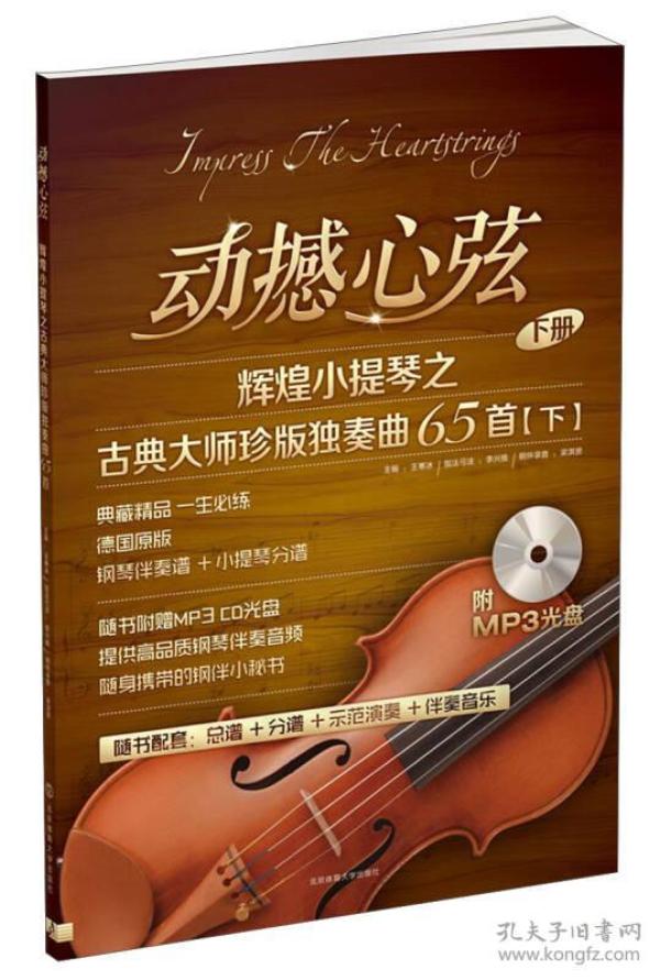 动撼心弦：辉煌小提琴之古典大师珍版独奏曲65首（下册）