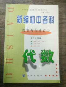 新编初中各科教案及作业设计初二上学期《代数》