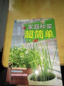 家庭园艺DIY系列：家庭种菜超简单