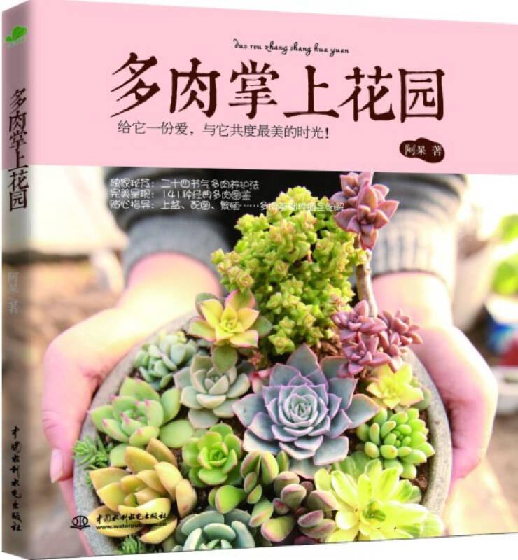 多肉掌上花园 阿呆 水利水电出版社