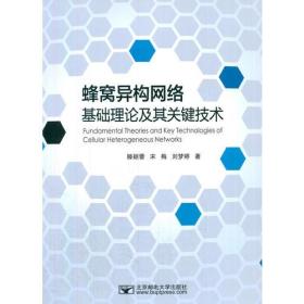 蜂窝异构网络基础理论及其关键技术