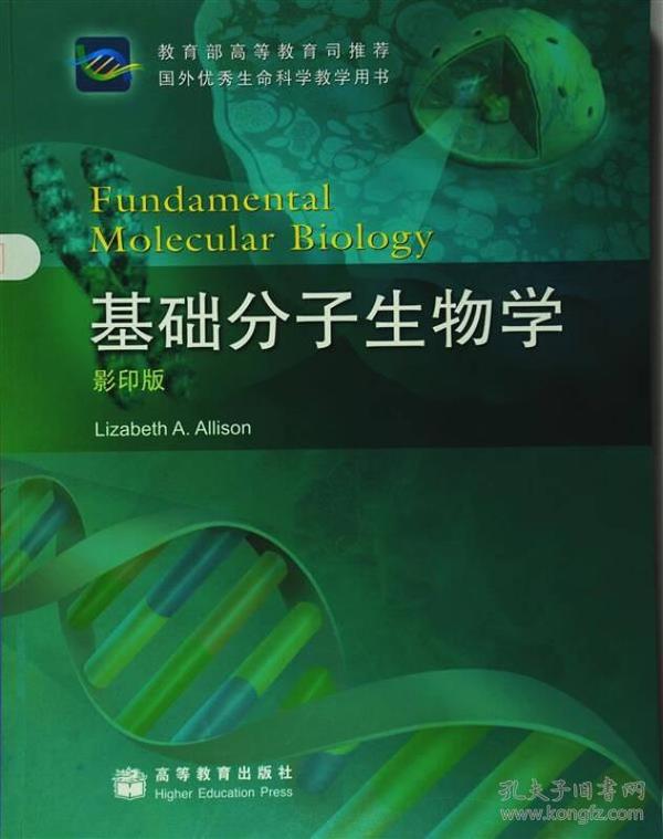 国外优秀生命科学教学用书：基础分子生物学（影印版）