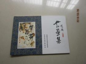 彭饶书画集.