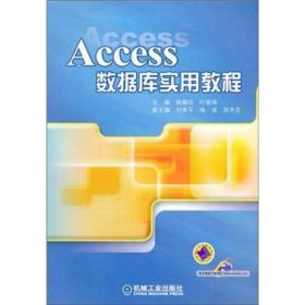 Access 数据库实用教程