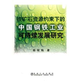 铁矿石资源约束下的中国钢铁工业可持续发展研究