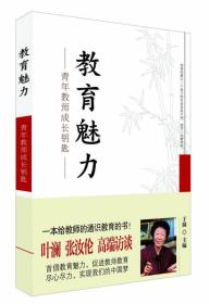 教育魅力：青年教师成长钥匙