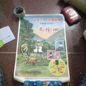 以粮食为纲全面发展，黄樟油 画 约52×38cm 8张合售
