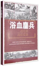 浴血鏖兵  二战经典战役实录