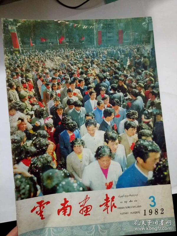 云南画报（1982年3期）