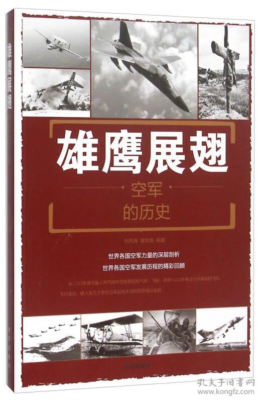 军事系列丛书：空军的历史雄鹰展翅