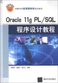 Oracle 11g PL/SQL程序设计教程/高等学校应用型特色规划教材