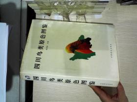 四川鸟类原色图鉴 总印2千册