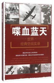 【04库】军事系列丛书：世界经典空战实录（双色）喋血蓝天